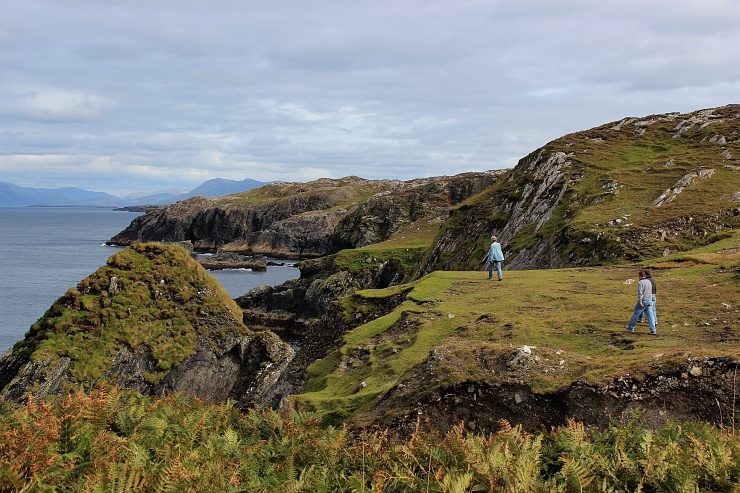 Pied Piper,  Inishbofin.